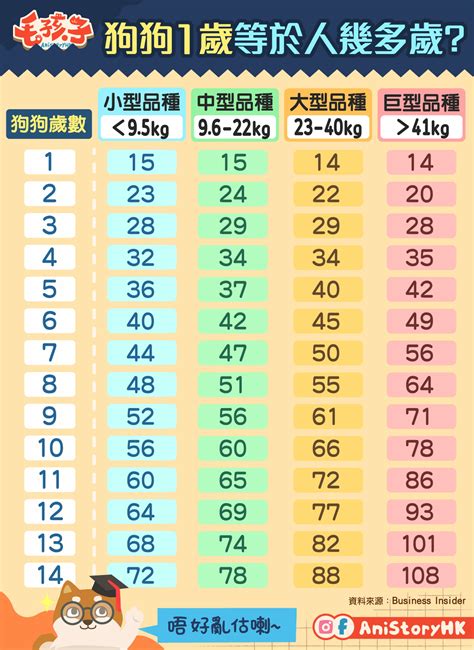 寵物年齡查詢|【附人狗年齡對照表】狗1歲等於人7歲？錯！話你知最科學計算法